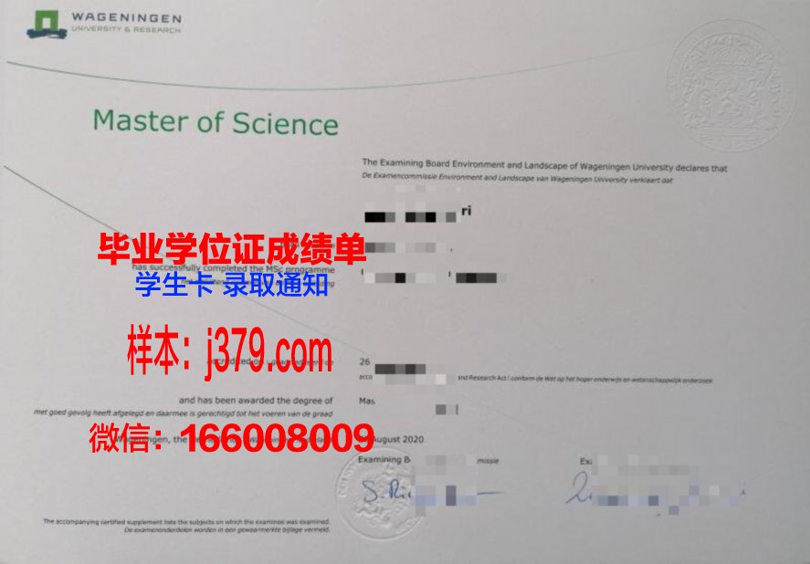 萨大学本科毕业证:毕业生的职业发展路径