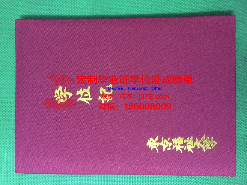HAL东京本科课程资格证书
