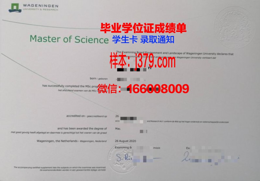 Gonzaga硕士证书所涵盖的专业领域解读