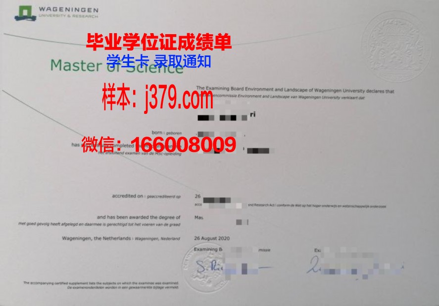 探索韩天大博士毕业证的含金量与价值
