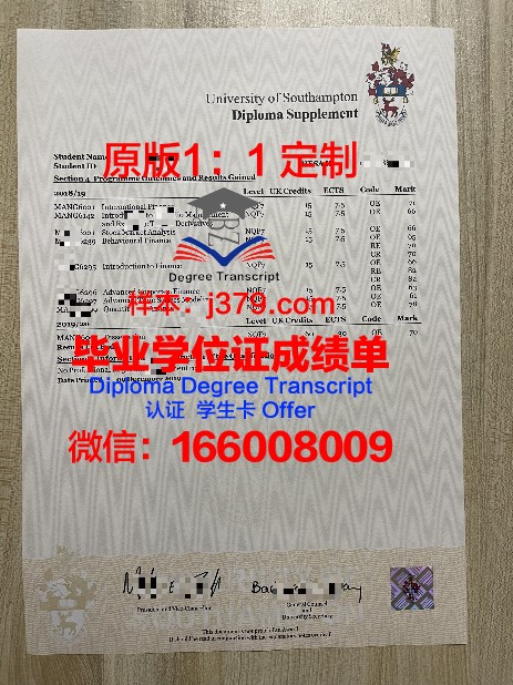 解读特大教证书成绩单:为未来教育发展提供方向