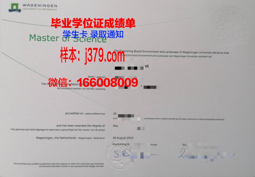 IAMU本科毕业证与国内外其他学历证书对比分析