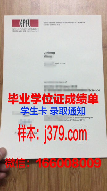 基理工Diploma证书:专业选择与课程设置介绍