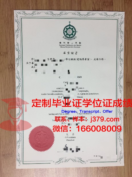 York U硕士毕业证:毕业生就业前景分析