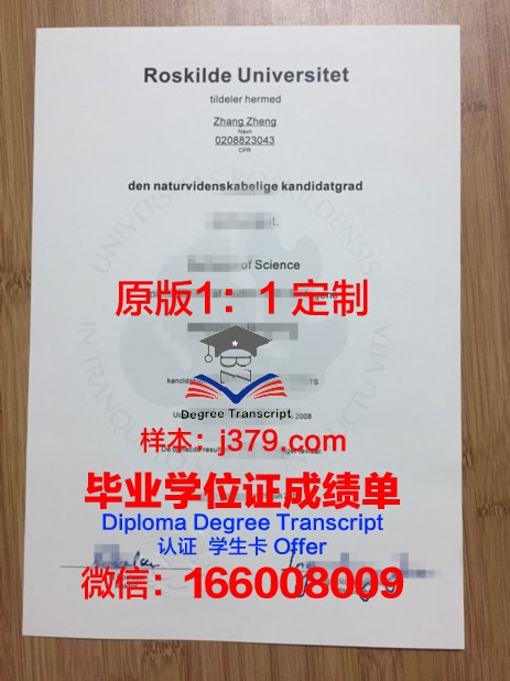 南丹麦大学学历证明及成绩记录