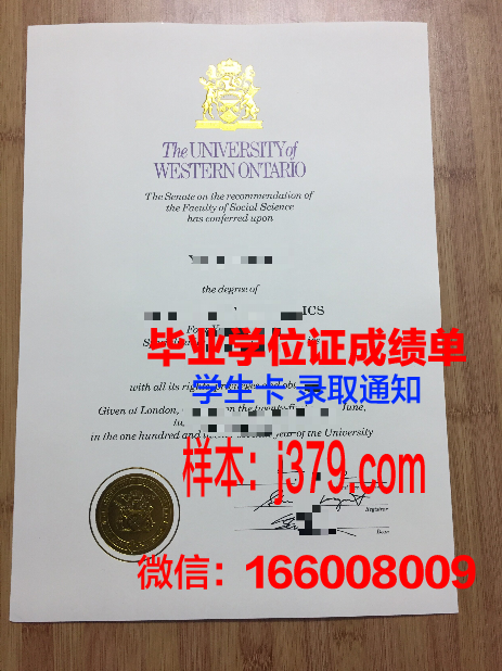 大略毕业证电子版申请指南