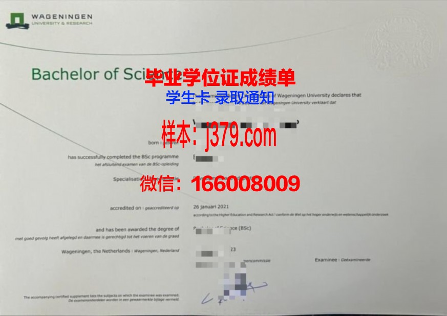 高科院本科阶段毕业资格证书