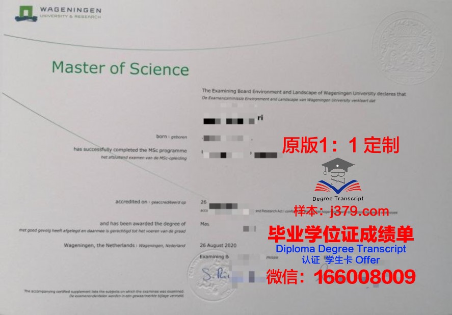 解读培法大硕士证书的申请流程与要求