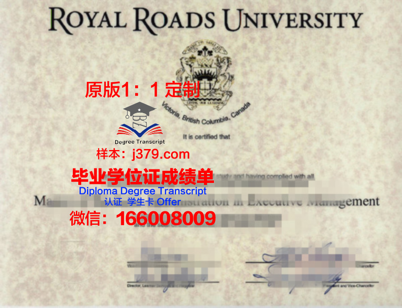 布法/UB博士学位资格证书