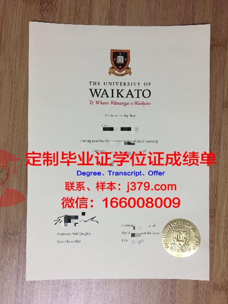 卡托毕业证所含专业与课程介绍