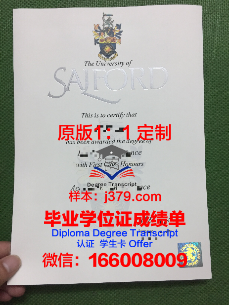 迈索尔大学学历证明及成绩记录