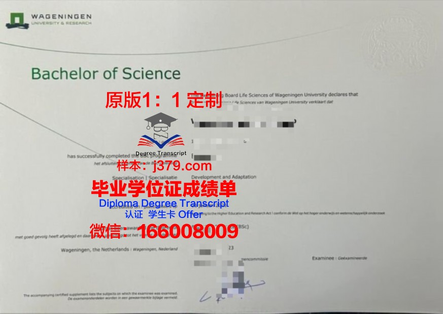 CTTUPC本科证书:开启职场成功之路