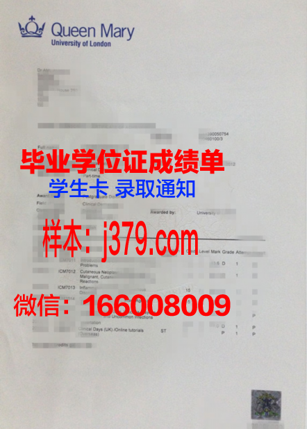 玛丽伍德大学 diploma证书