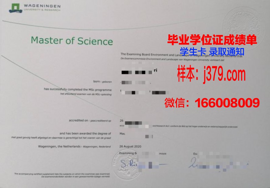 迈大硕士证书:学历提升与职业发展的桥梁