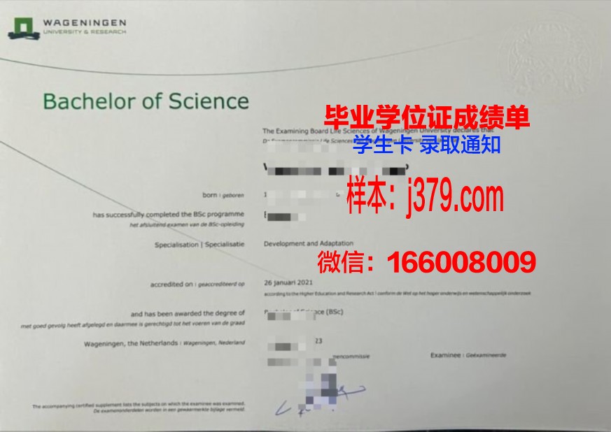 格诺布尔大学本科证书申请流程解析