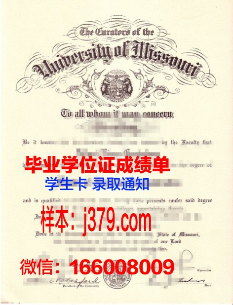 密苏里科技大学学历在职场中的应用