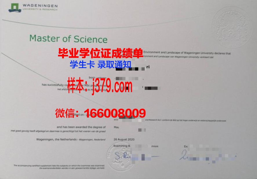 姆斯工硕士证书培训课程推荐